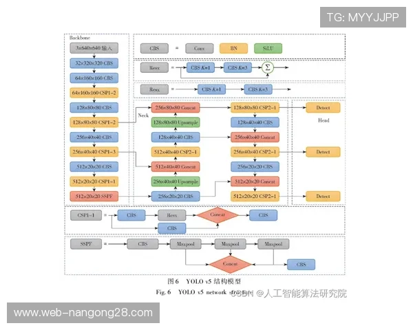 迁移学习训练模型:YOLO对象检测改进篮球识别准确率